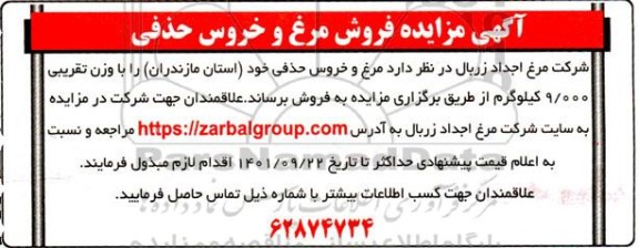 مزایده فروش مرغ و خروس حذفی