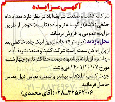 مزایده فروش تعدادی دام حذفی (لاشه) و گوساله نر و ماده تلیسه