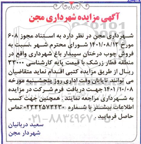 مزایده فروش چوب درختان سپیدار باغ