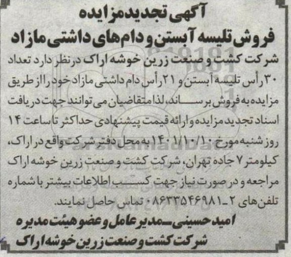 مزایده فروش تلیسه آبستن و دام های داشتی مازاد تجدید 