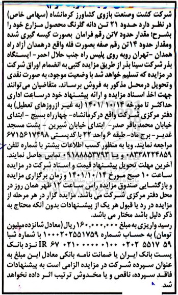 مزایده حدود 21 تن دانه گلرنگ محصول مزارع نوبت دوم
