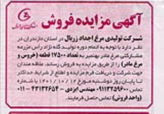 مزایده فروش 17500 قطعه (خروس جوان و مرغ مادر )