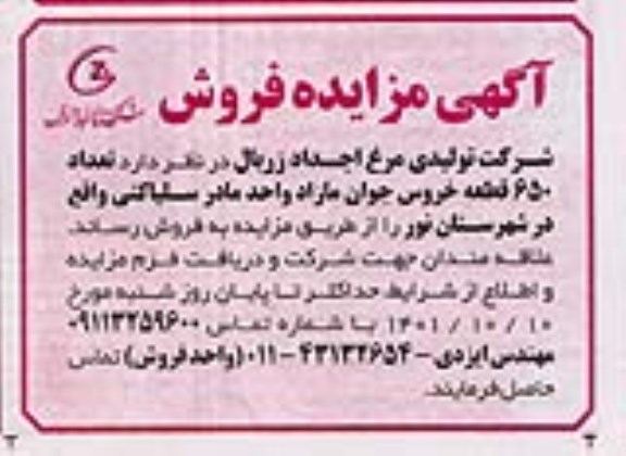 مزایده فروش تعداد 650 قطعه خروس جوان مازاد واحد مادر سلیاکتی
