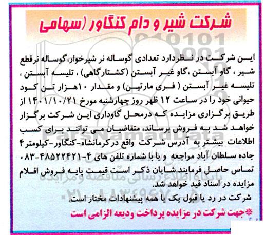 مزایده تعدادی گوساله نر شیرخوار، گوساله نر قطع شیر....