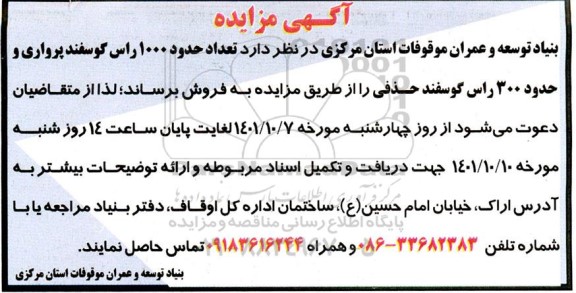 مزایده فروش تعداد حدود 1000 راس گوسفند پرواری و حدود 300 راس گوسفند حذفی