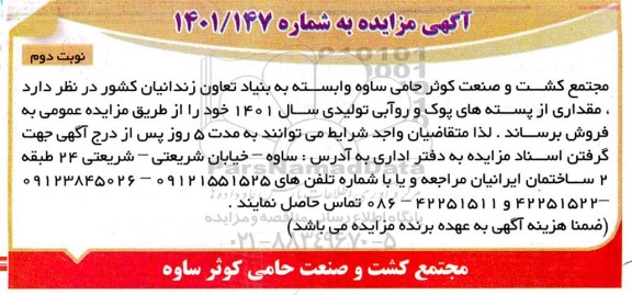 مزایده مقداری از پسته های پوک و روآبی - نوبت دوم