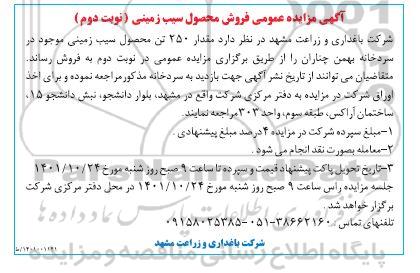 مزایده فروش مقدار 250 تن محصول سیب زمینی- نوبت دوم
