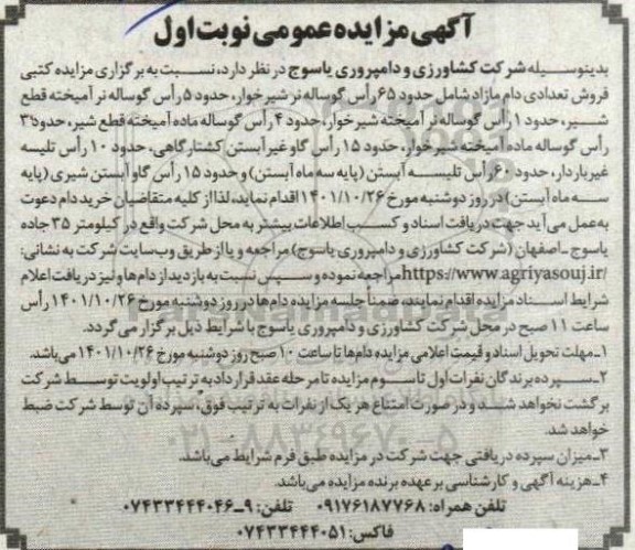 مزایده فروش تعدادی دام مازاد شامل حدود 65 راس گوساله نر شیرخوار، حدود 5 راس گوساله نر آمیخته  قطع شیر....