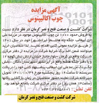 مزایده فروش چوب اکالیپتوس