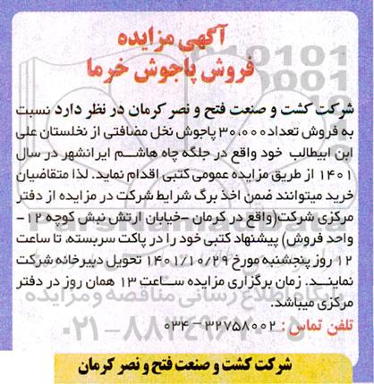 مزایده فروش پاجوش خرما