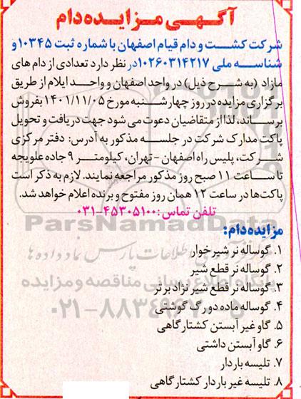 مزایده دام