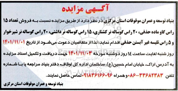 مزایده فروش تعداد 15 راس گاو ماده حذفی ....