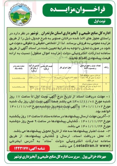مزایده فروش درختان صنوبر