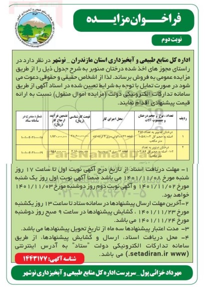 مزایده فروش درختان صنوبر - نوبت دوم