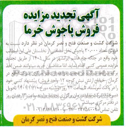 تجدید مزایده فروش تعداد 30،000 پاجوش نخل مضافتی