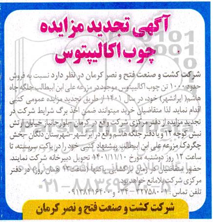 تجدید مزایده فروش حدود 1000 تن چوب اکالیپتوس