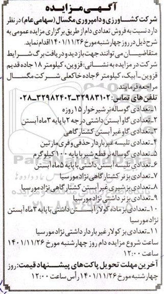 مزایده فروش تعدادی دام