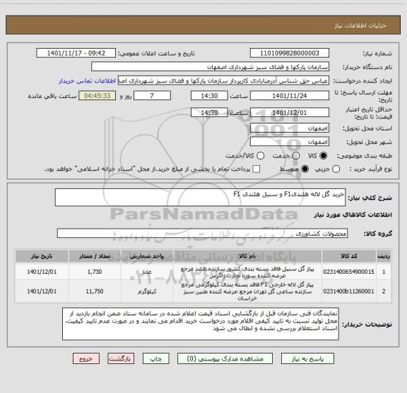 استعلام خرید گل لاله هلندیF1 و سنبل هلندی F1