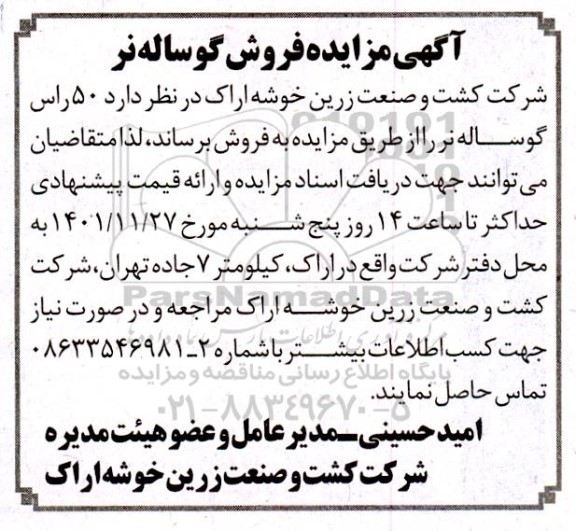 مزایده فروش گوساله نر
