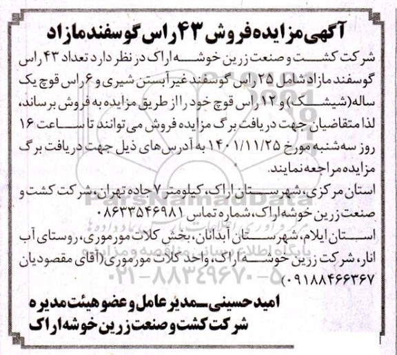 مزایده فروش 43 راس گوسفند مازاد 