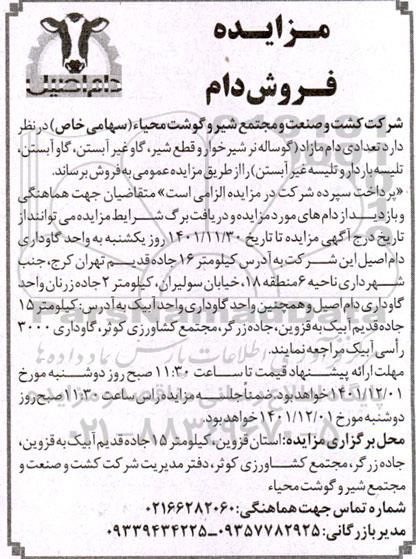 مزایده فروش تعدادی دام مازاد