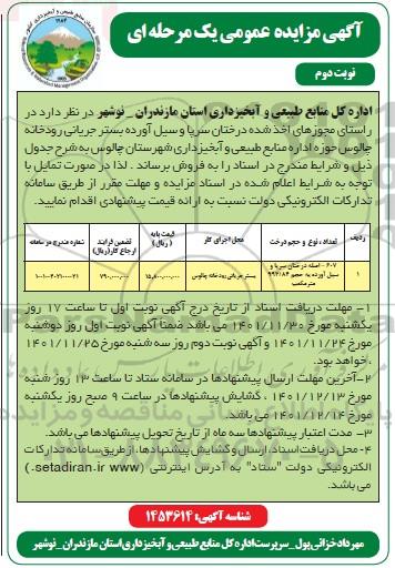 مزایده فروش درختان سرپا و سیل آورده بستر جریانی رودخانه - نوبت دوم