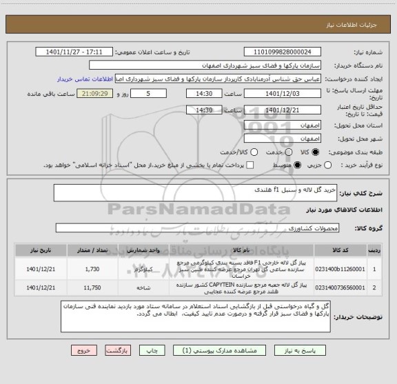 استعلام خرید گل لاله و سنبل f1 هلندی