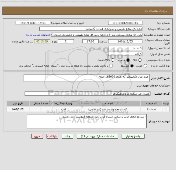 استعلام خرید نهال اکالیپتوس به تعداد 165000 اصله