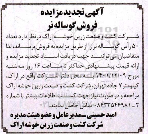 تجدید مزایده فروش گوساله نر