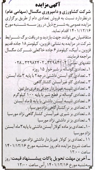 مزایده فروش تعدادی دام