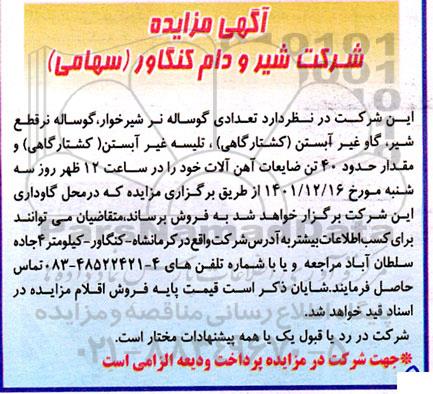 مزایده فروش تعدادی گوساله نر شیرخوار، گوساله نر قطع شیر