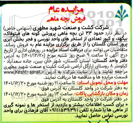 مزایده فروش حدود 33 تن بچه ماهی پرورشی گونه های فیتوفاک، بیگهد و کپور