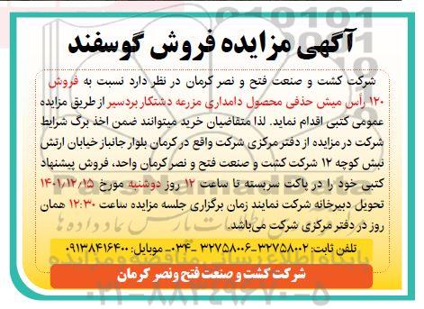 مزایده فروش گوسفند (120 راس میش حذفی)