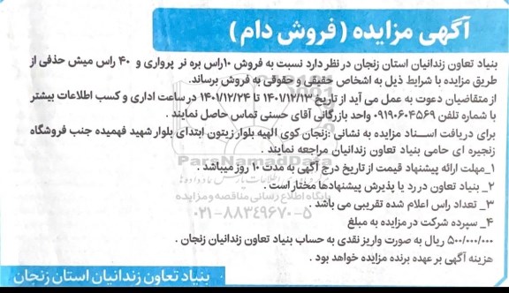 مزایده فروش دام