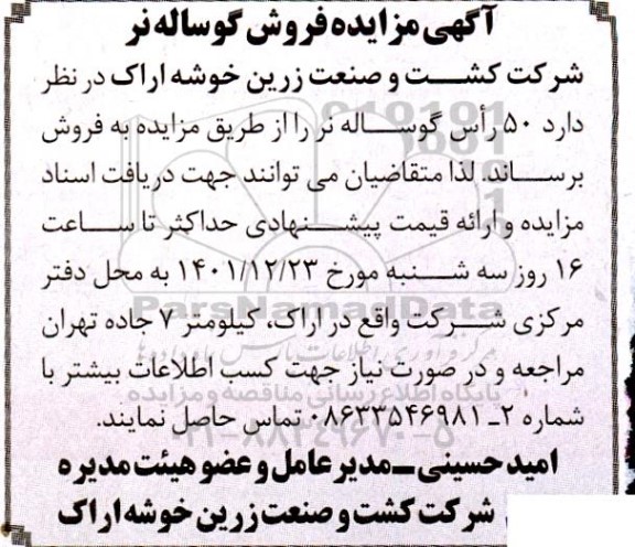 مزایده فروش گوساله نر  
