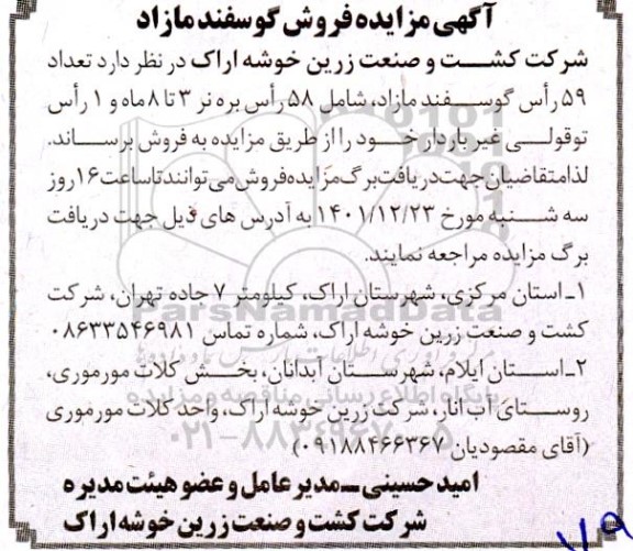 مزایده فروش گوسفند مازاد 