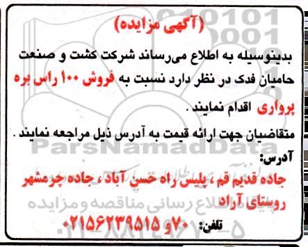 مزایده فروش 100 راس بره پرواری