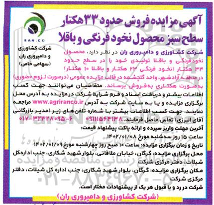 مزایده فروش حدود 33 هکتار سطح سبز محصول نخودفرنگی و باقلا