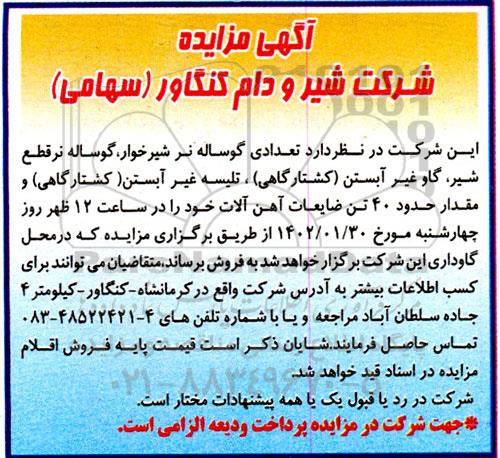 مزایده فروش تعدادی گوساله نر شیرخوار، گوساله نر قطع شیر...