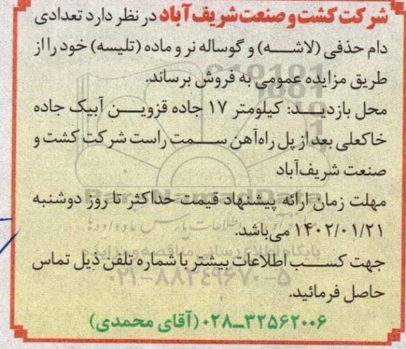 آگهی مزایده دام