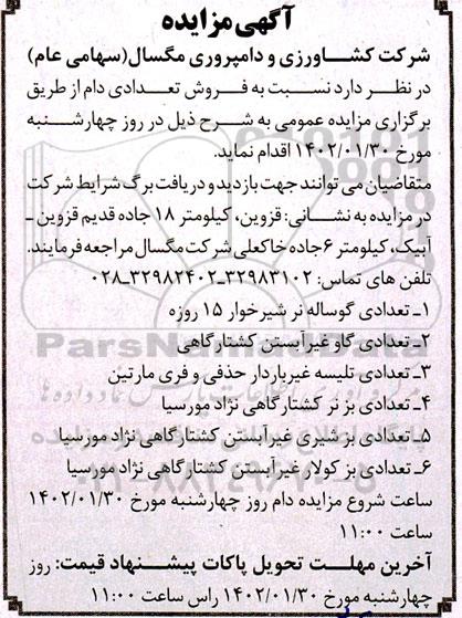 مزایده فروش تعدادی دام