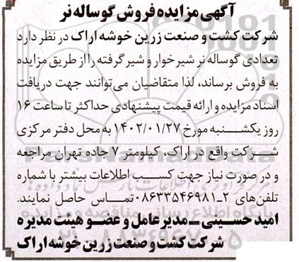 مزایده فروش گوساله نر  
