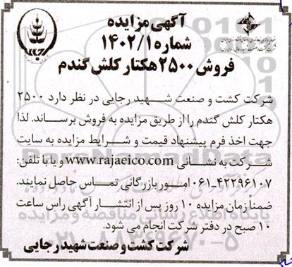 مزایده فروش 2500 هکتار کلش گندم