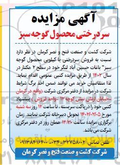 مزایده فروش سردرختی محصول گوجه سبز