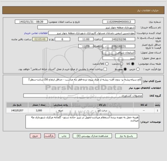استعلام کاج سیاه-ریشه پر- بدون آفت- ریشه از ظرف بیرون نزده-قطر تنه مناسب - حداقل ارتفاع 150سانت-سطل7