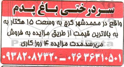 مزایده سردرختی باغ پدم