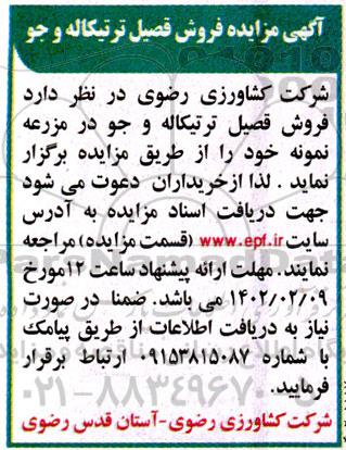 مزایده فروش قصیل ترتیکاله و جو