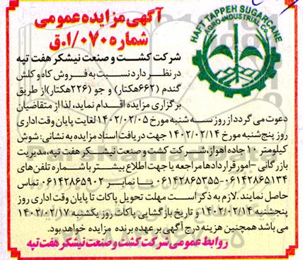 مزایده عمومی فروش کاه و کلش گندم 662 هکتار