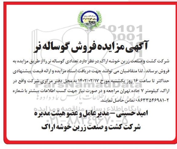 مزایده فروش گوساله نر 
