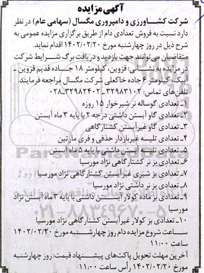 مزایده فروش تعدادی دام 